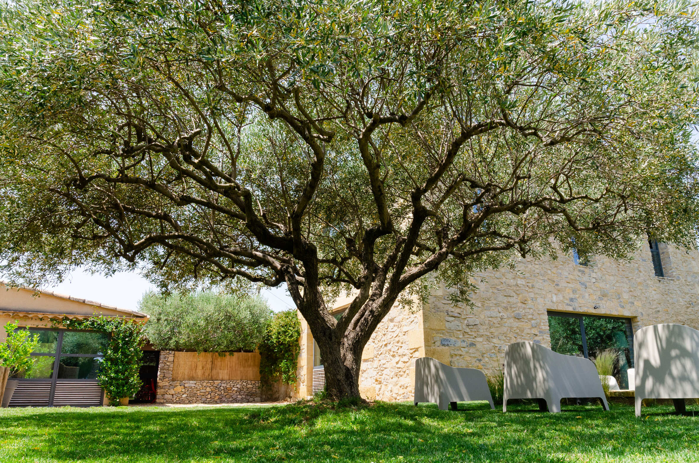 Le Jardin image 1