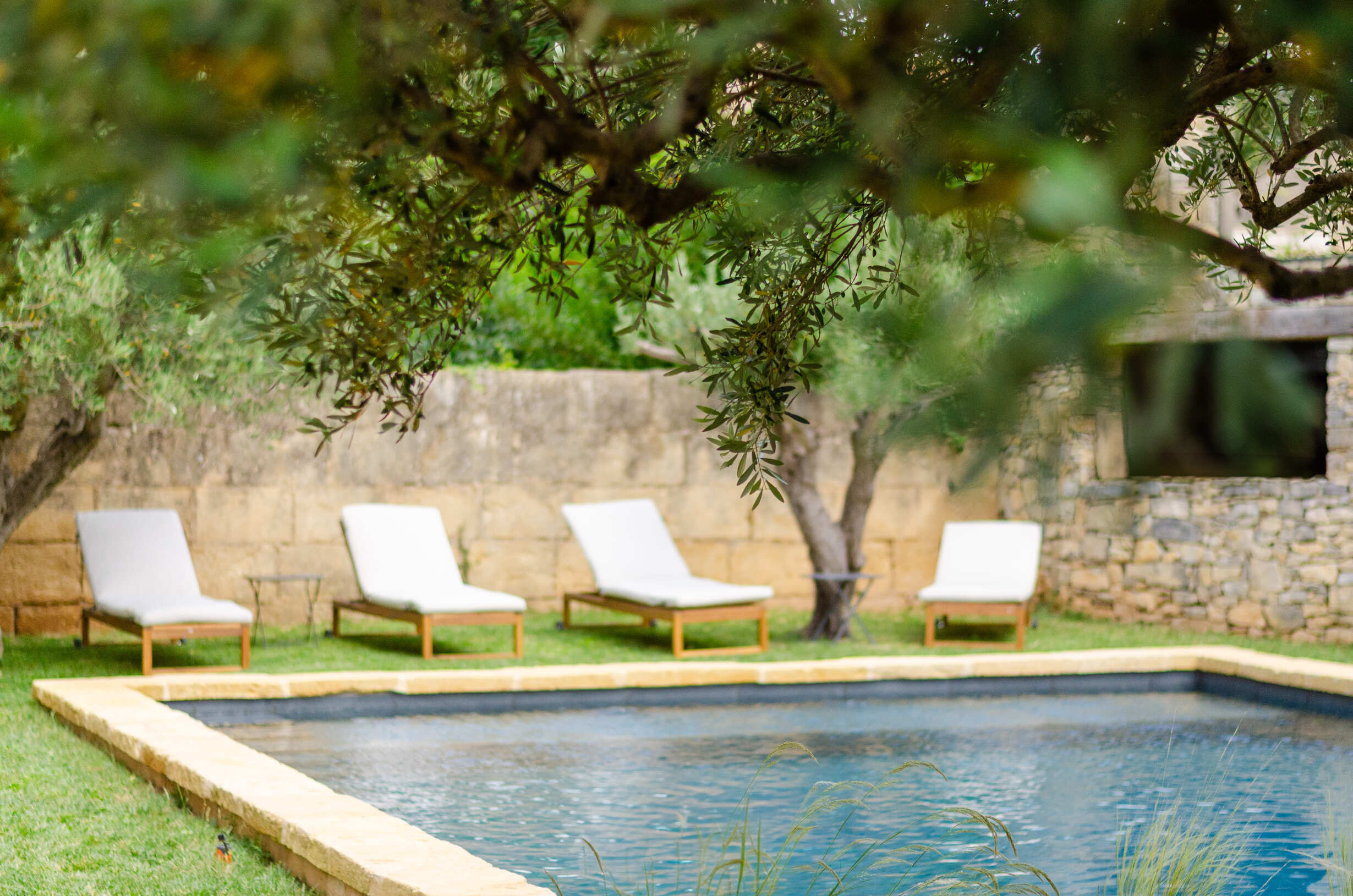 Le Jardin image 6