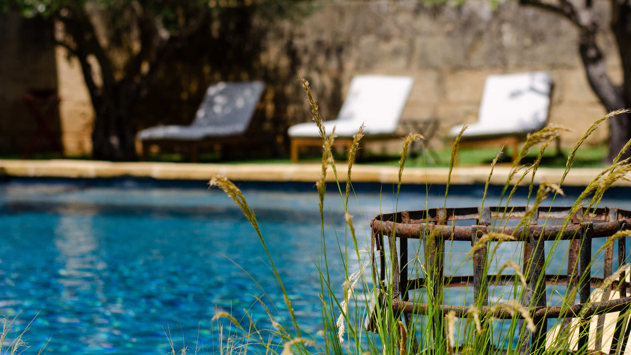 Le Jardin image 2